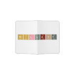 Brilliant  Passport Holder