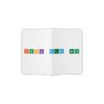 Fuck Dem Hoes  Passport Holder