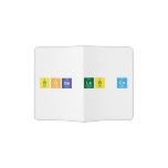Boba Lab co  Passport Holder