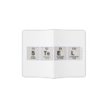 STEEL  Passport Holder