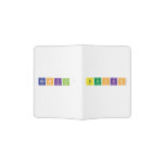 Bankin' BuckS  Passport Holder