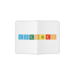 avengers  Passport Holder