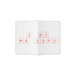 I luv
 New york  Passport Holder
