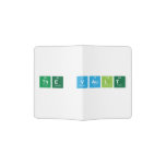 The Vault  Passport Holder