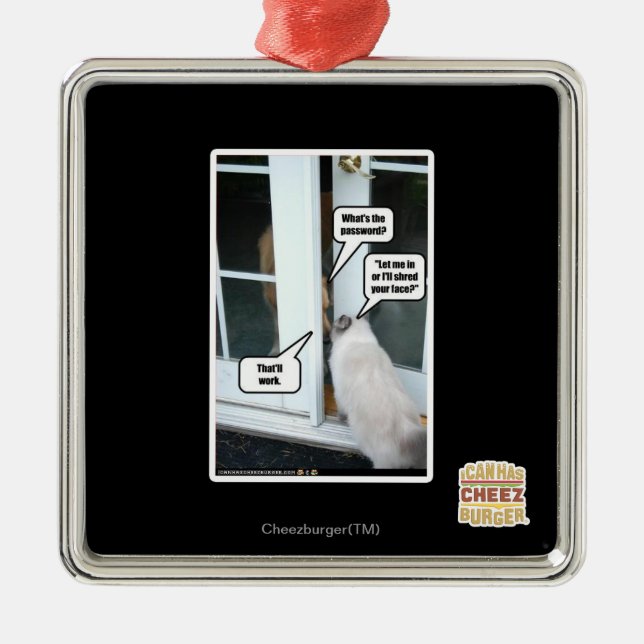 Password Please Metal Ornament (Front)