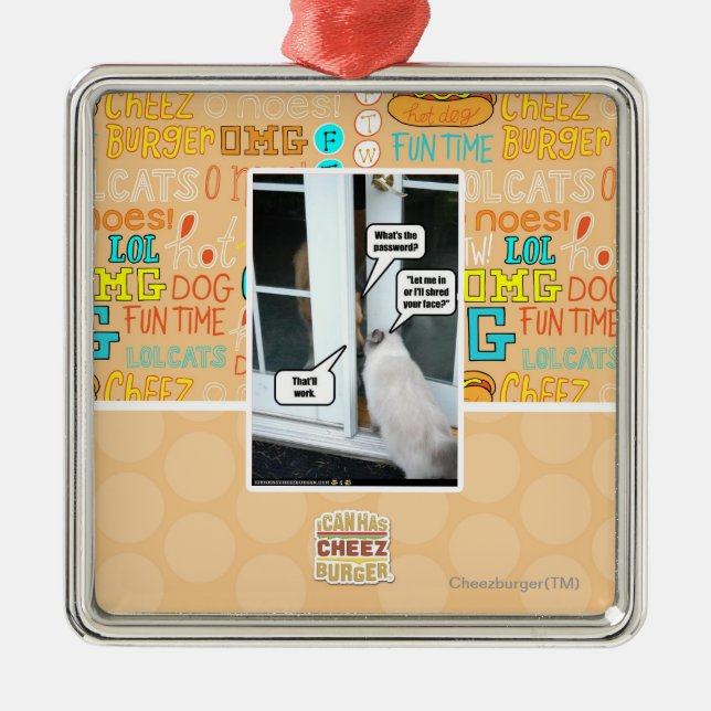 Password Please Metal Ornament (Front)