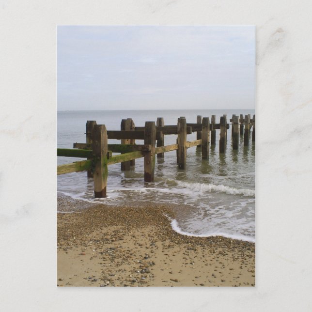 past its prime postcard (Front)