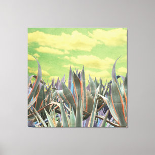Pastel Agave Cactus against clouded sky Collage Canvas Print