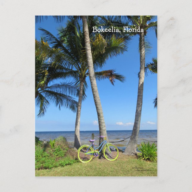 Pastel Bicycle ocean Florida Postcard (Front)