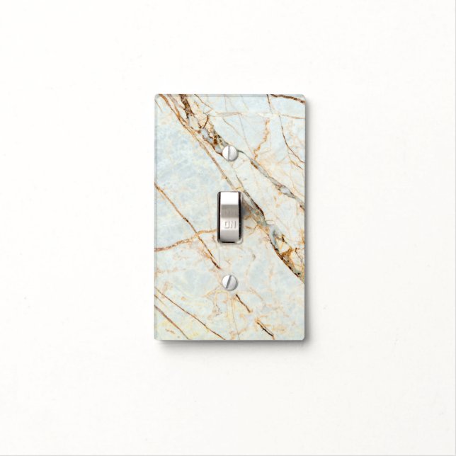 Pastel Blue And Copper Marble Stone Light Switch Cover (In Situ)
