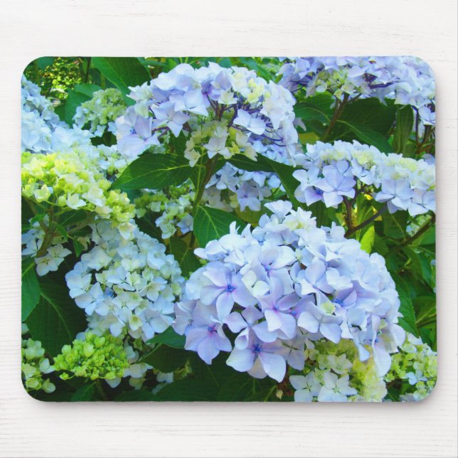 Pastel Blue Hydrangea Flowers Garden mousepad (Front)