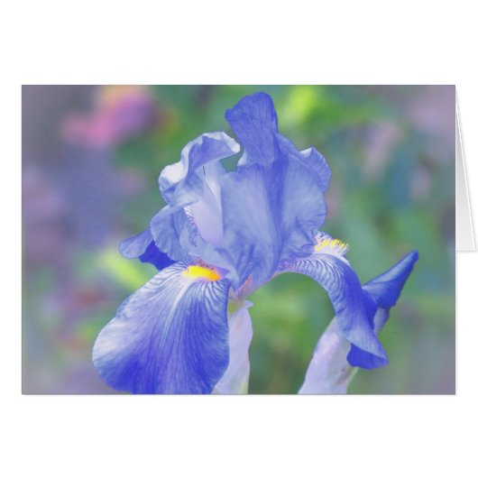 Pastel Blue - Iris Cards (Front Horizontal)