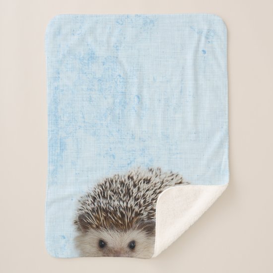 Pastel Blue Peekaboo Hedgehog Minimalist Nursery Sherpa Blanket