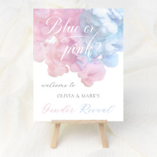 Pastel Blue Pink Smoke Gender Reveal Welcome Sign