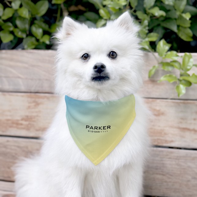 Pastel Blue Yellow Ombre Custom Name  Pet Bandana Collar (Dog)