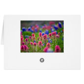 Pastel Bluebonnets Cards (Back Horizontal)