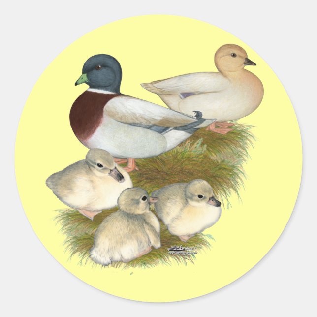 Pastel Call Duck Family Classic Round Sticker (Front)