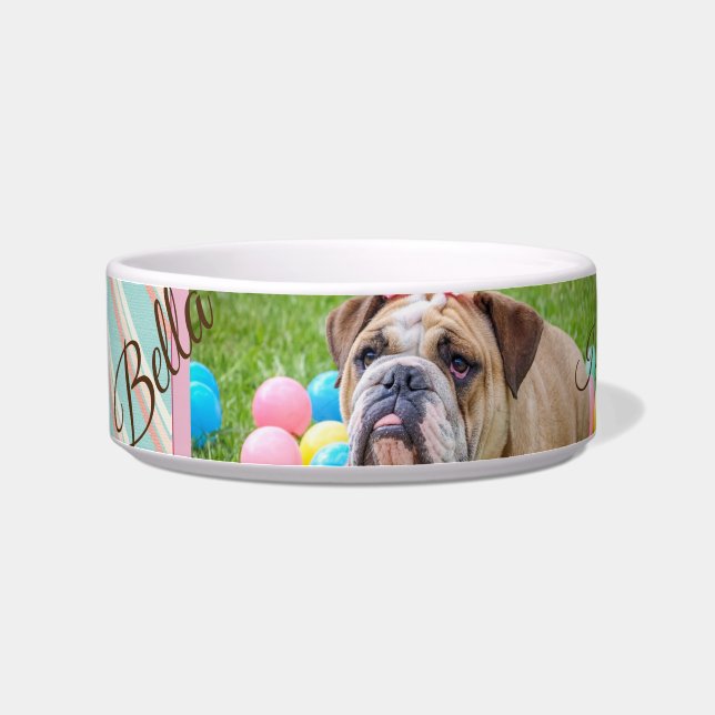Pastel Chevron Dog Custom Photo   Bowl (Left)
