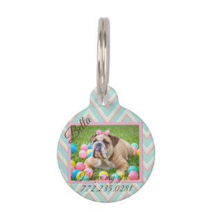 Pastel Chevron Dog Custom Photo   Pet ID Tag