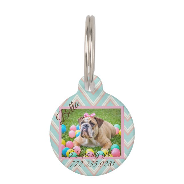 Pastel Chevron Dog Custom Photo   Pet ID Tag (Front)