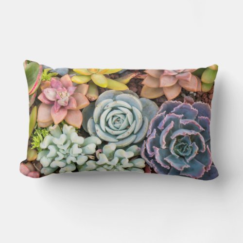 Pastel Colored Succulent Plants Lumbar Pillow
