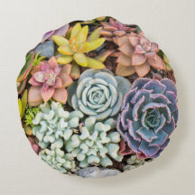 Pastel Colored Succulent Plants Round Pillow