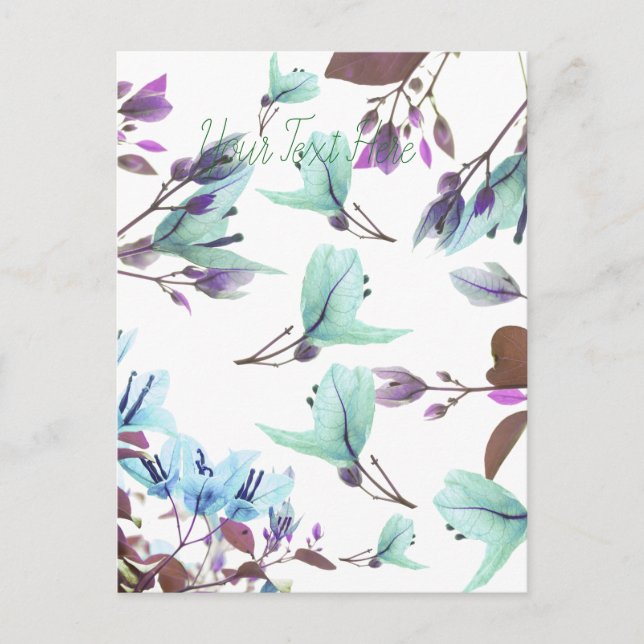 Pastel Colours Bougainvillea Flowers Postcard (Front)