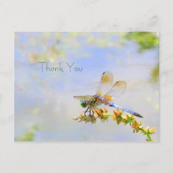 Pastel Dragonfly Thank You Postcard by debinSC at Zazzle