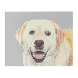 Pastel Drawing Happy Yellow Lab Acrylic Art