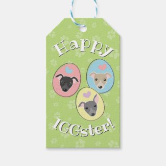 Pastel Easter eggs Funny Italian greyhound Cartoon