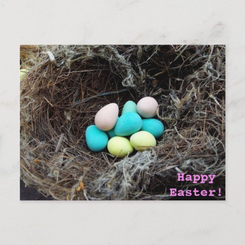 Pastel Easter eggs in real birds nest photograph Holiday Postcard