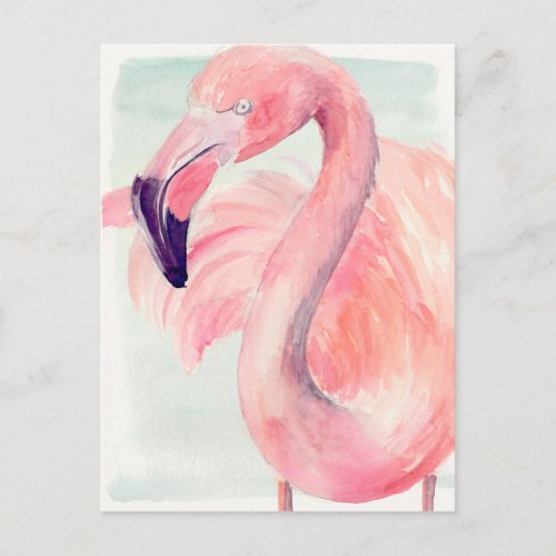 Pastel Flamingo Postcard