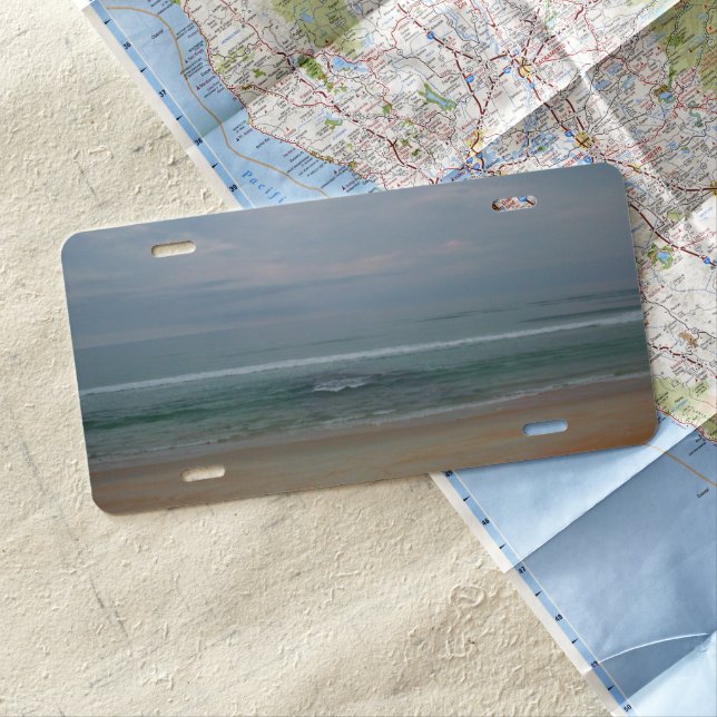 Pastel Florida Beach License Plate (In Situ)