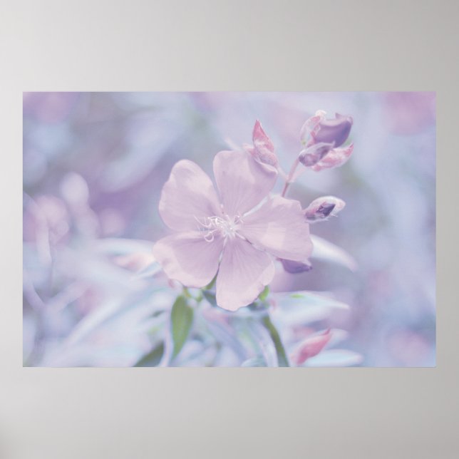Pastel Flower Poster (Front)