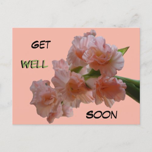 Pastel Gladioli Cust Get Well Soon Postcard