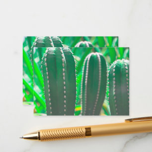 Pastel Green cactus plant leaves pastel Enclosure Card