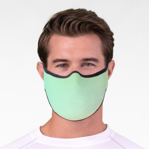 Pastel Green Colors Abstract Blur Gradient Ombre Premium Face Mask