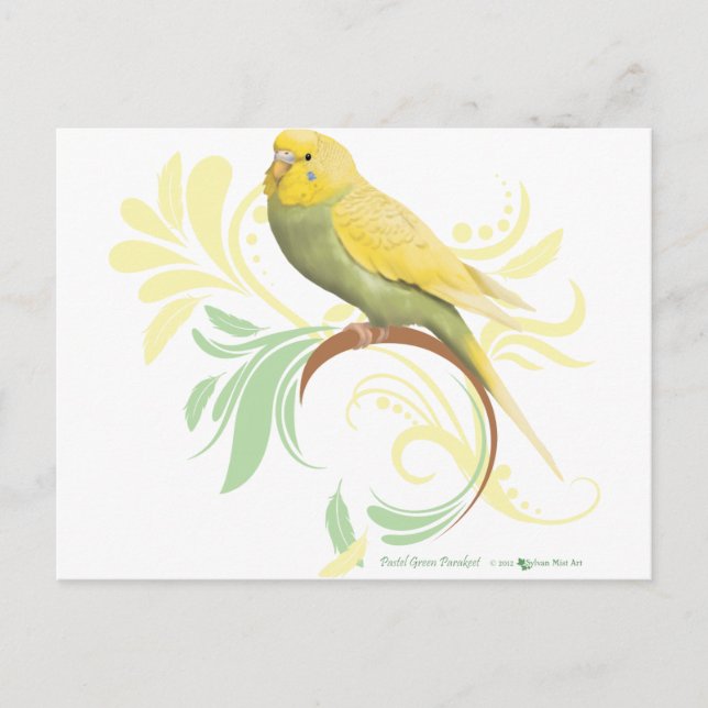 Pastel Green Parakeet Postcard (Front)