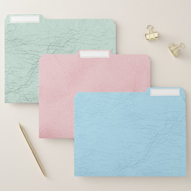Pastel Green Pink Blue Faux Leather Image File Folder (Set)