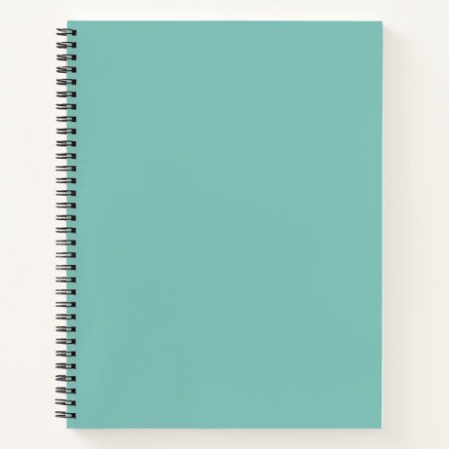 Pastel Green Spiral Notebook