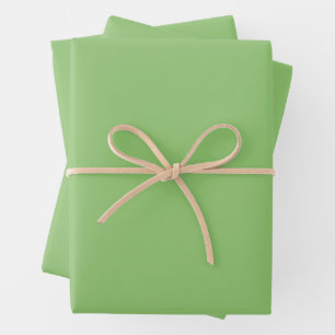 Pastel Green Wrapping Paper Sheets