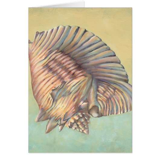 Pastel Large Conch Shell Cards (Front)