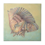 Pastel Large Conch Shell Ceramic Tile<br><div class="desc">Get this unique multi-colored large Conch seashell image on your next product. This amazing,  cocoa background these two unique seashells. Take the beach with you everywhere you go and imagine the soft ocean breeze.</div>