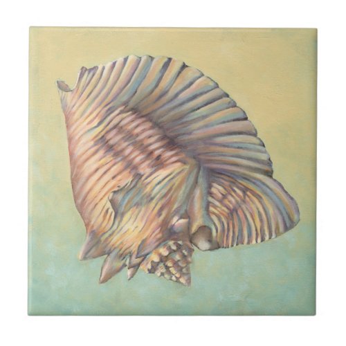 Pastel Large Conch Shell Ceramic Tile