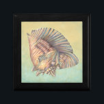 Pastel Large Conch Shell Gift Box<br><div class="desc">Get this unique multi-colored large Conch seashell image on your next product. This amazing,  cocoa background these two unique seashells. Take the beach with you everywhere you go and imagine the soft ocean breeze.</div>