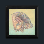 Pastel Large Conch Shell Gift Box<br><div class="desc">Get this unique multi-colored large Conch seashell image on your next product. This amazing,  cocoa background these two unique seashells. Take the beach with you everywhere you go and imagine the soft ocean breeze.</div>