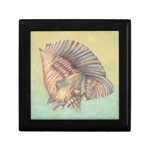 Pastel Large Conch Shell Gift Box
