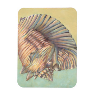 Pastel Large Conch Shell Magnet