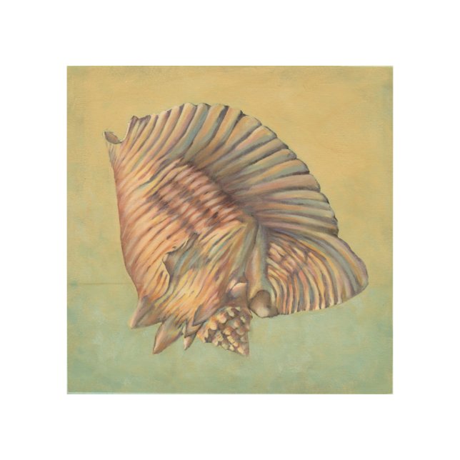 Pastel Large Conch Shell Wood Wall Art (Front)