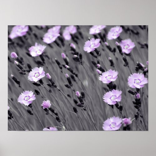 Pastel Lilac Wildflowers Poster